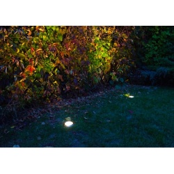 Oświetlenie ogrodu - zdjęcie poglądowe
